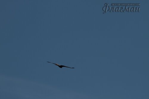 Canon EOS 7D_20190711_171603_r